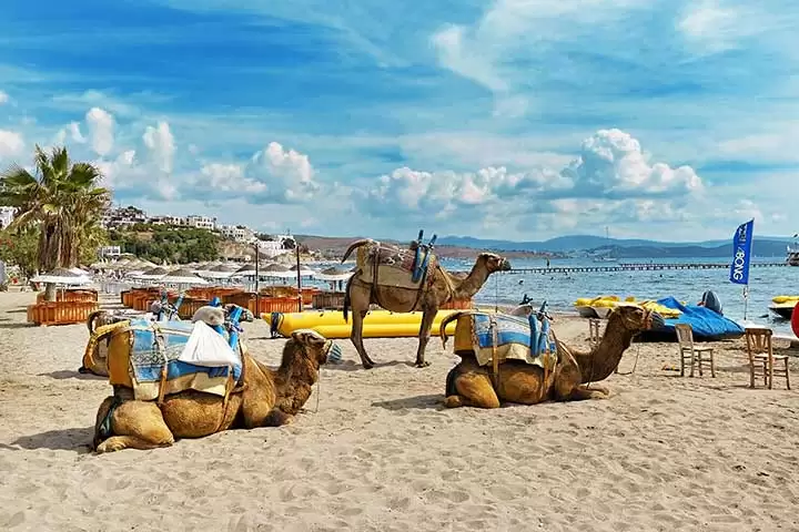 Camel Beach (Bodrum)