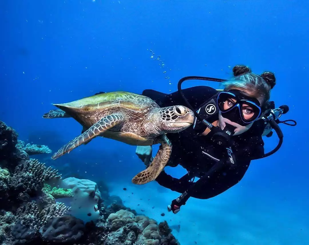 Diving trip in Oludeniz