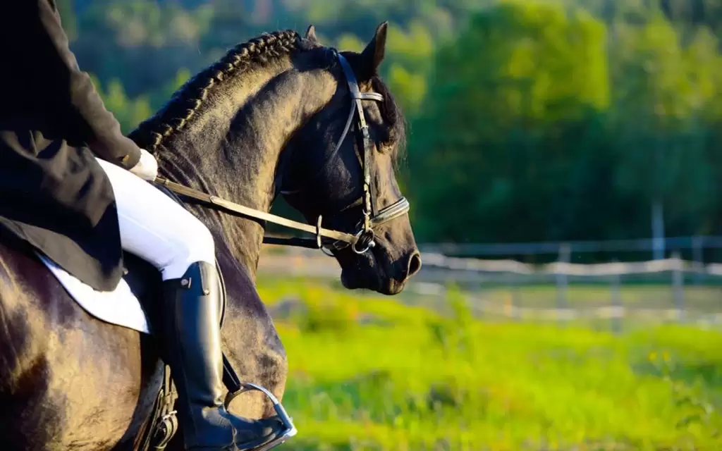 Horse riding trip in Fethiye
