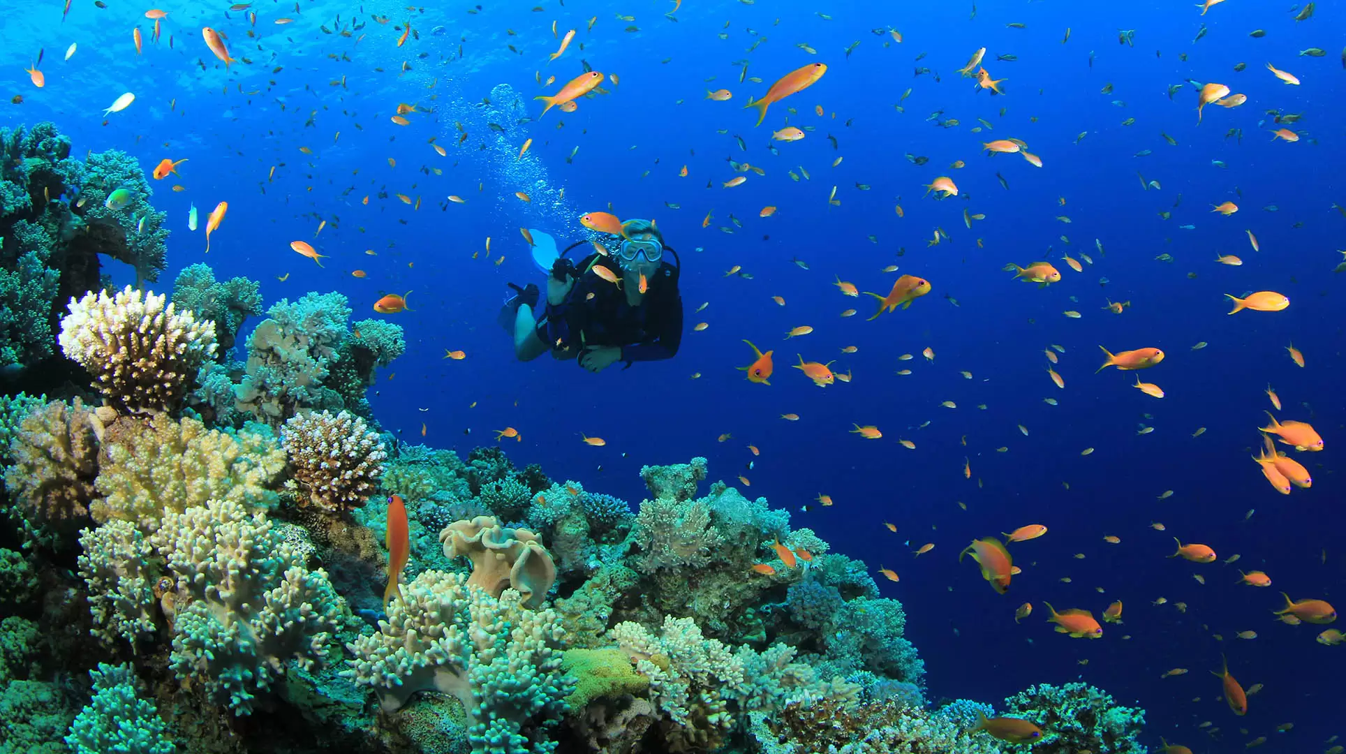 Diving tour in Fethiye