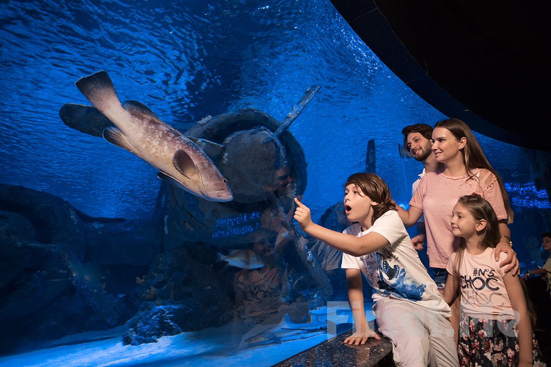 Antalya Aquarium excursion